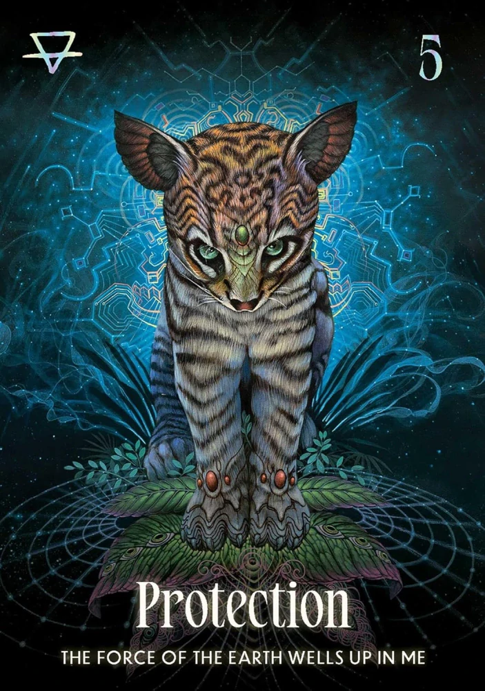 Shamanic Oracle Cards