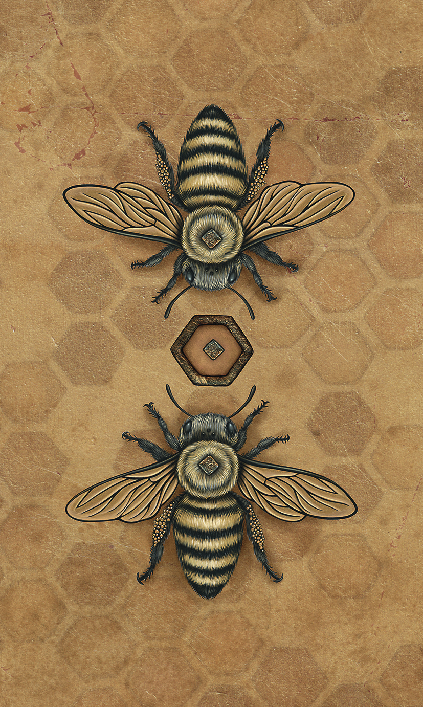 Bee Tarot Cards