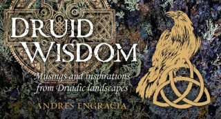 Druid Wisdom Cards