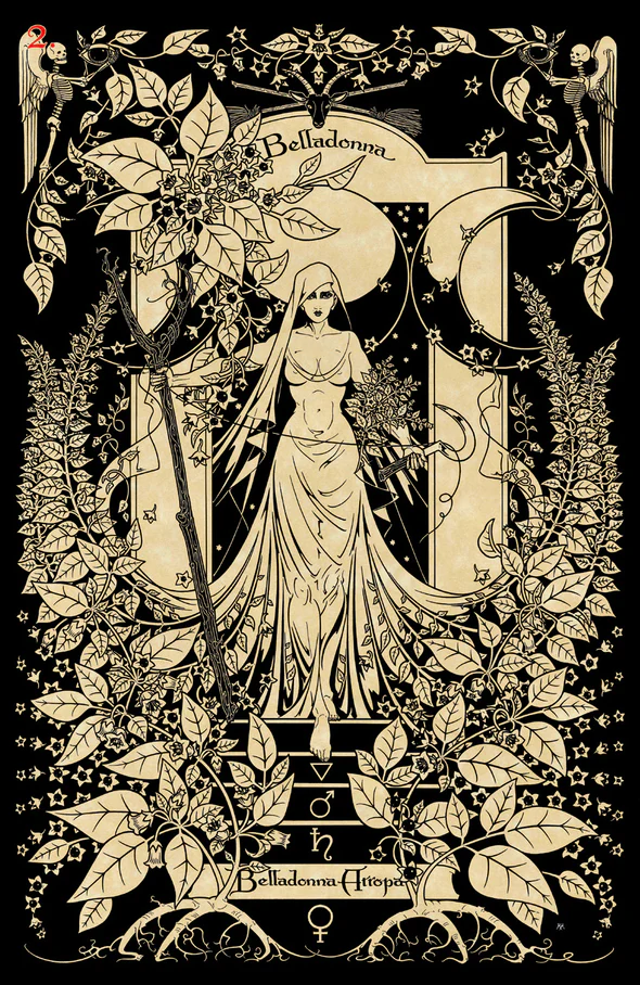 The Magickal Botanical Oracle Cards