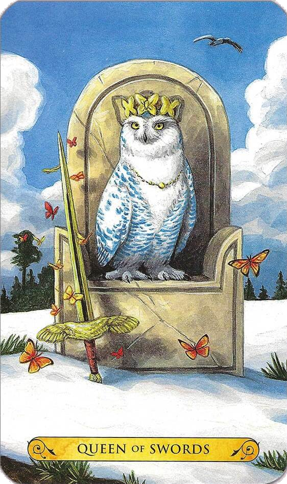 Tarot of the Owls Cards