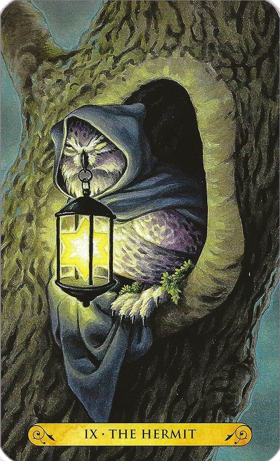 Tarot of the Owls Cards